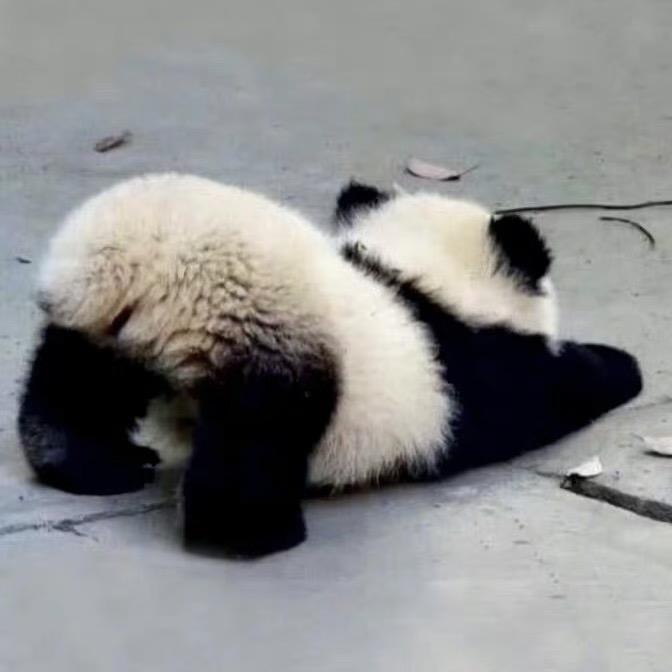 花泽小葱