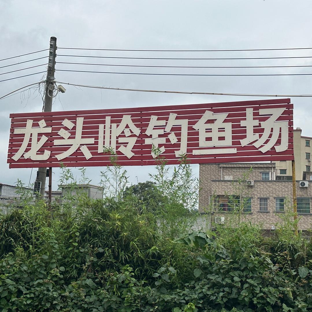 龙头岭钓鱼场
