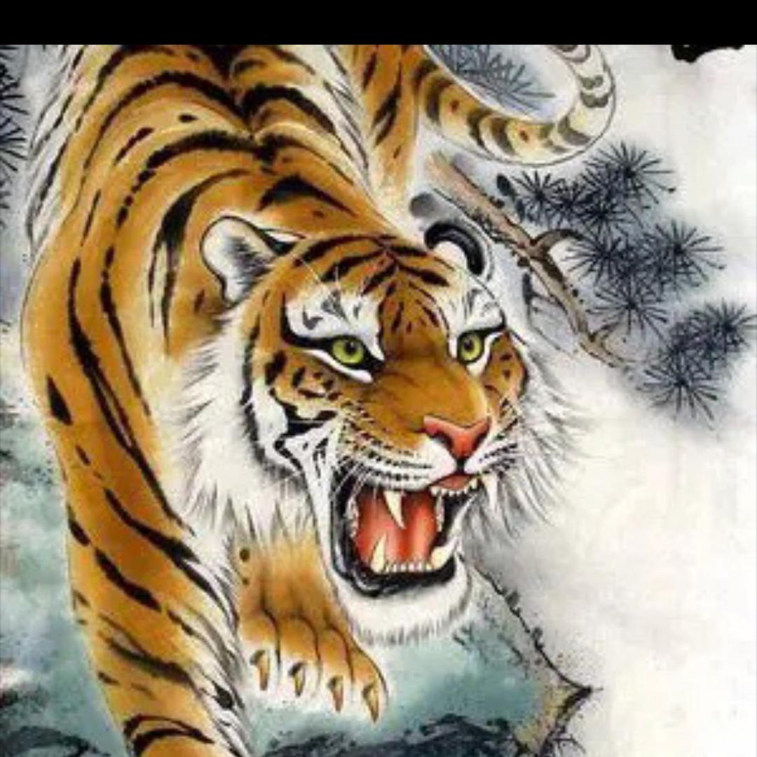 🐯 凪卄🐱