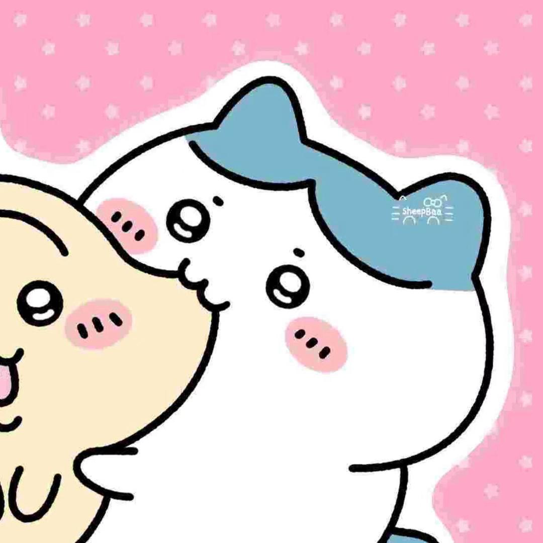 双子百晓生