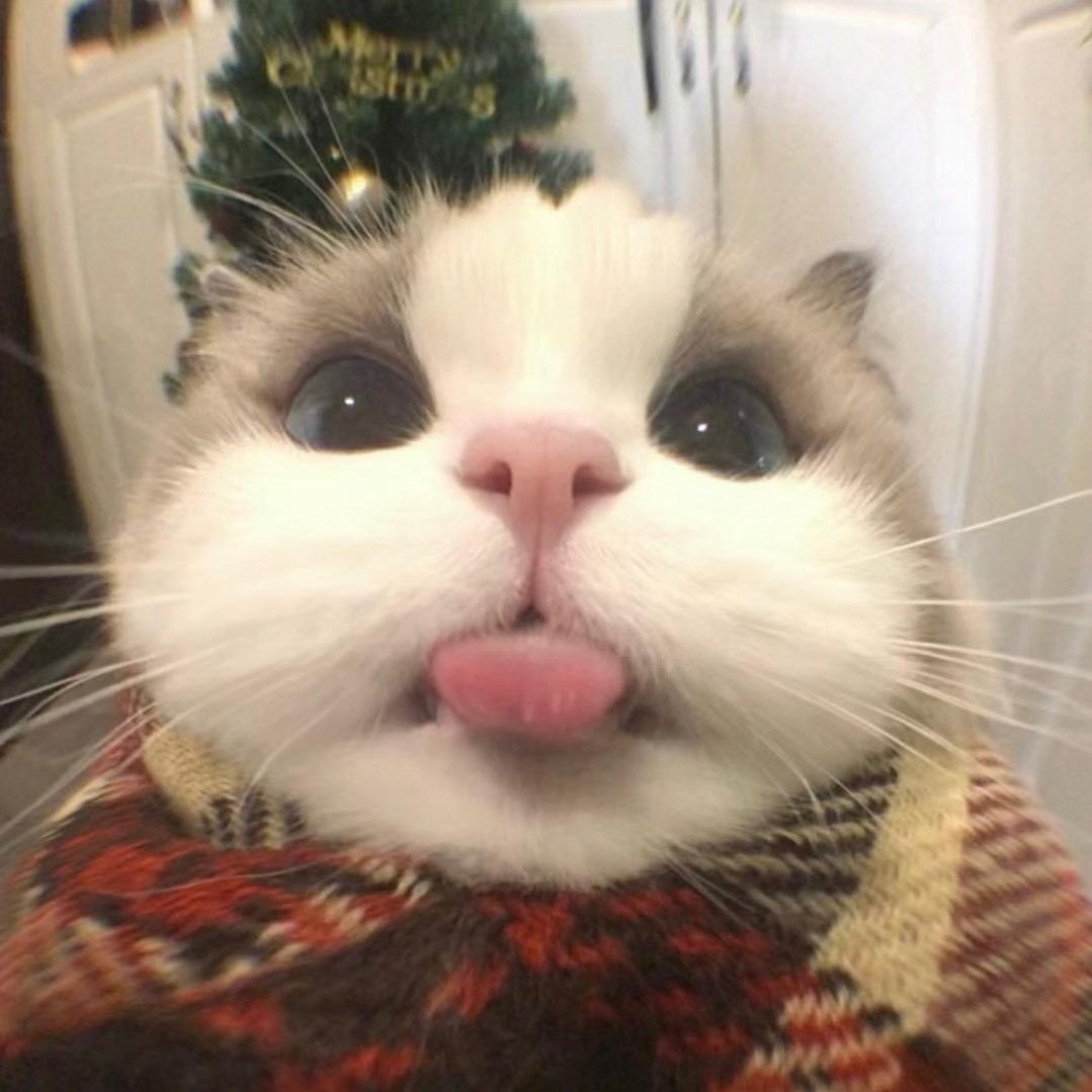 吵吵