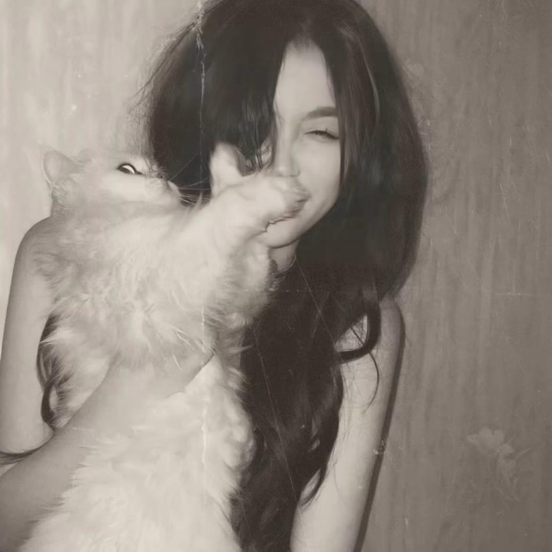 kitty乐
