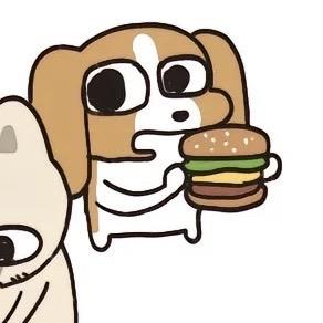 猫艺猫