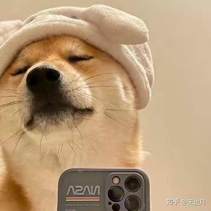 鬼崽