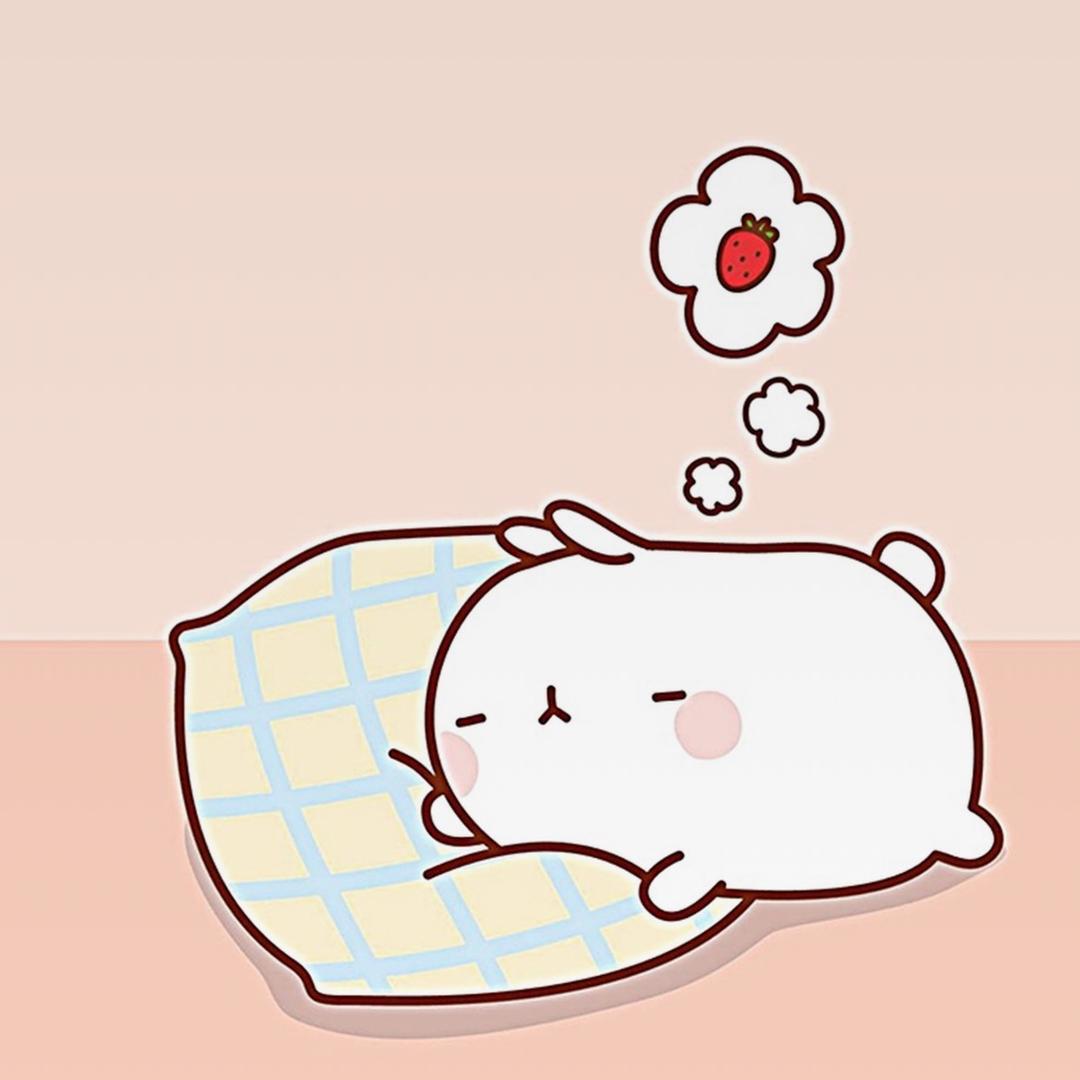 小木魚