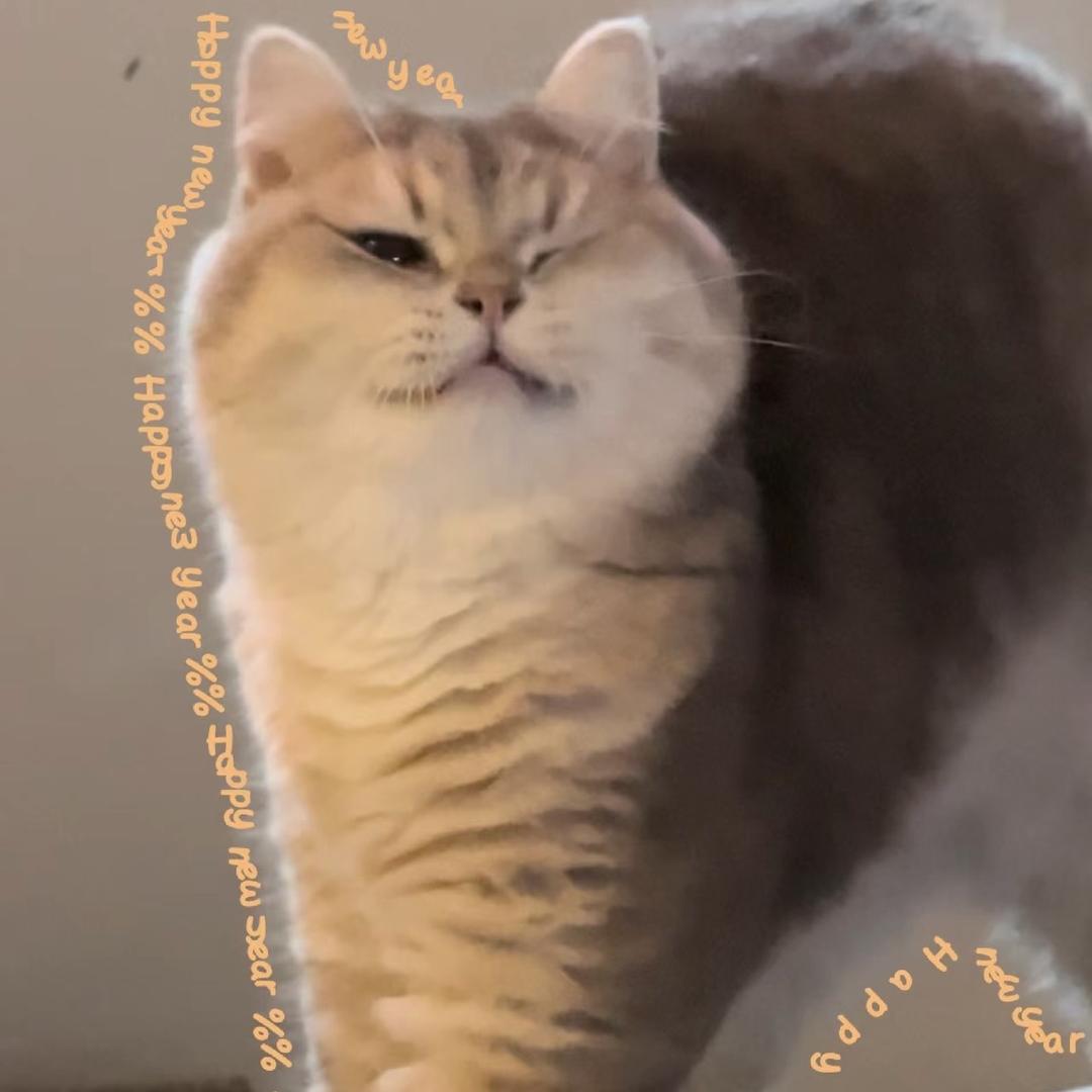 🌈发财的一家🐱