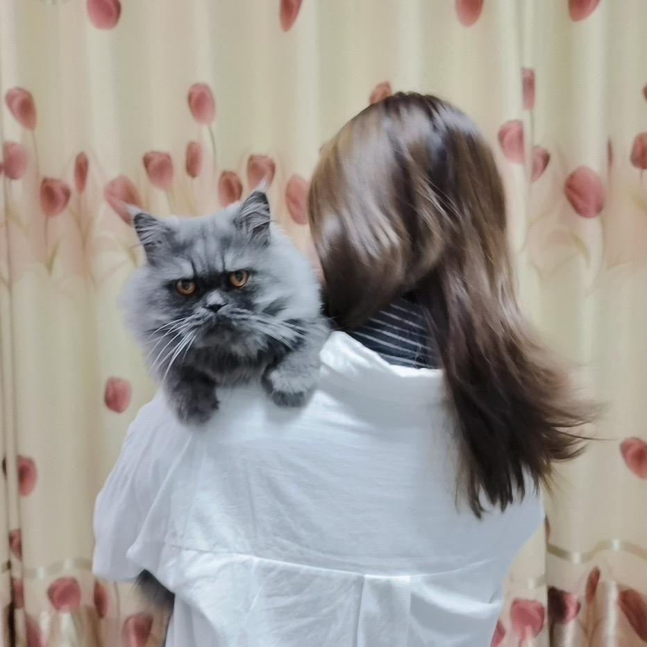730头像