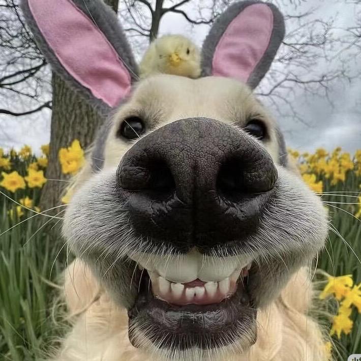 海口阿宇收金（包包手表-寄存周转）