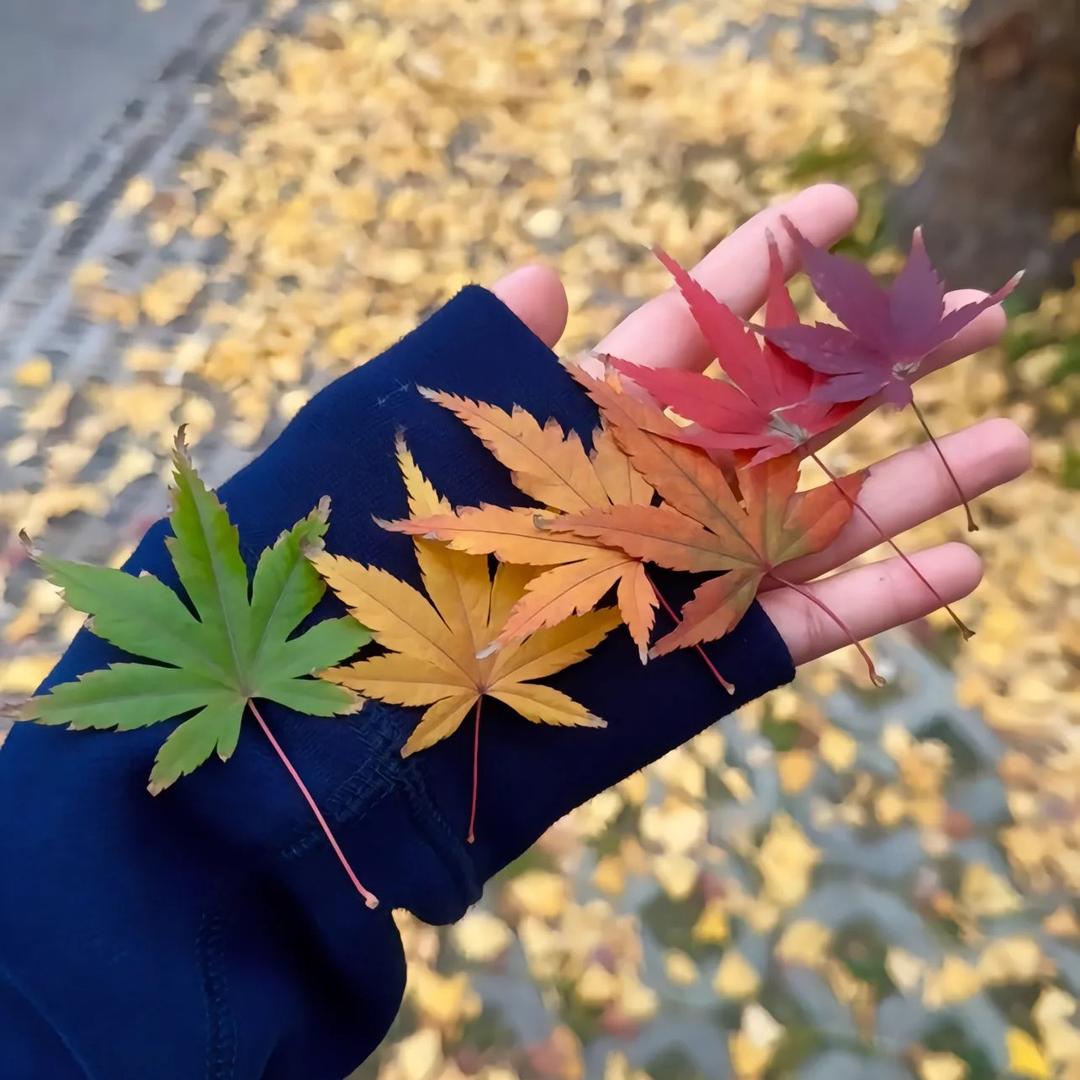 小花