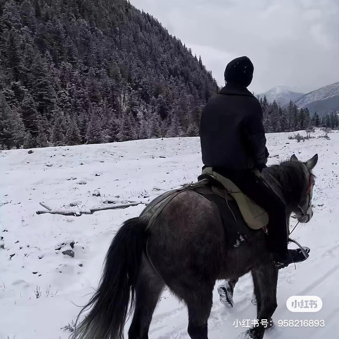 奥勇精品电动车