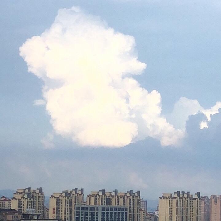 知己难求