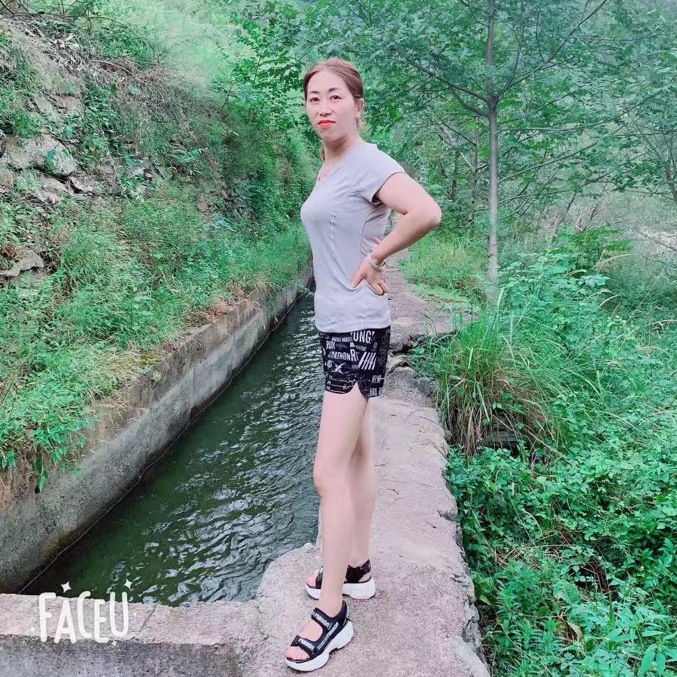 农村燕子