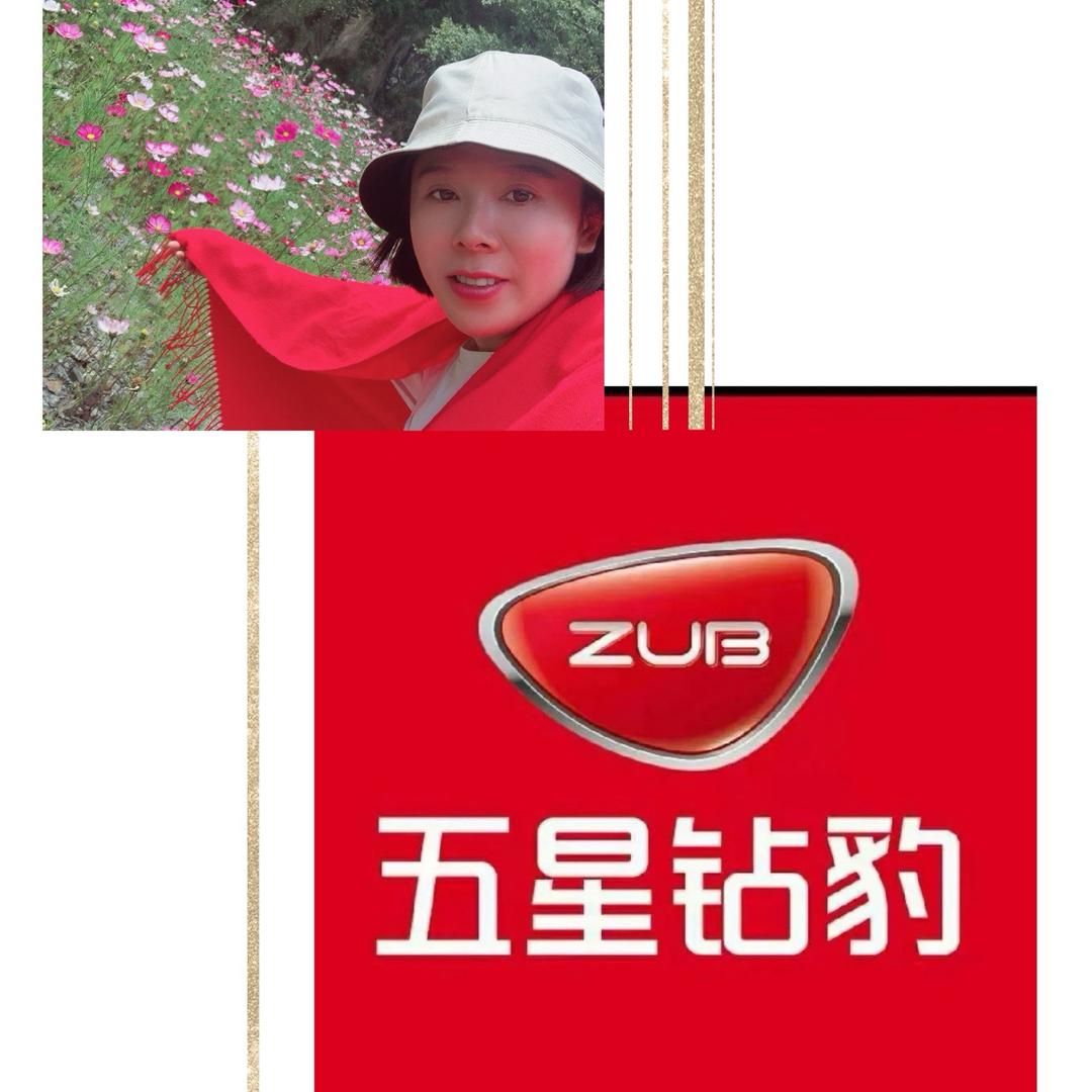 五星钻豹电动车（云阳滨江大道）兜兜有糖