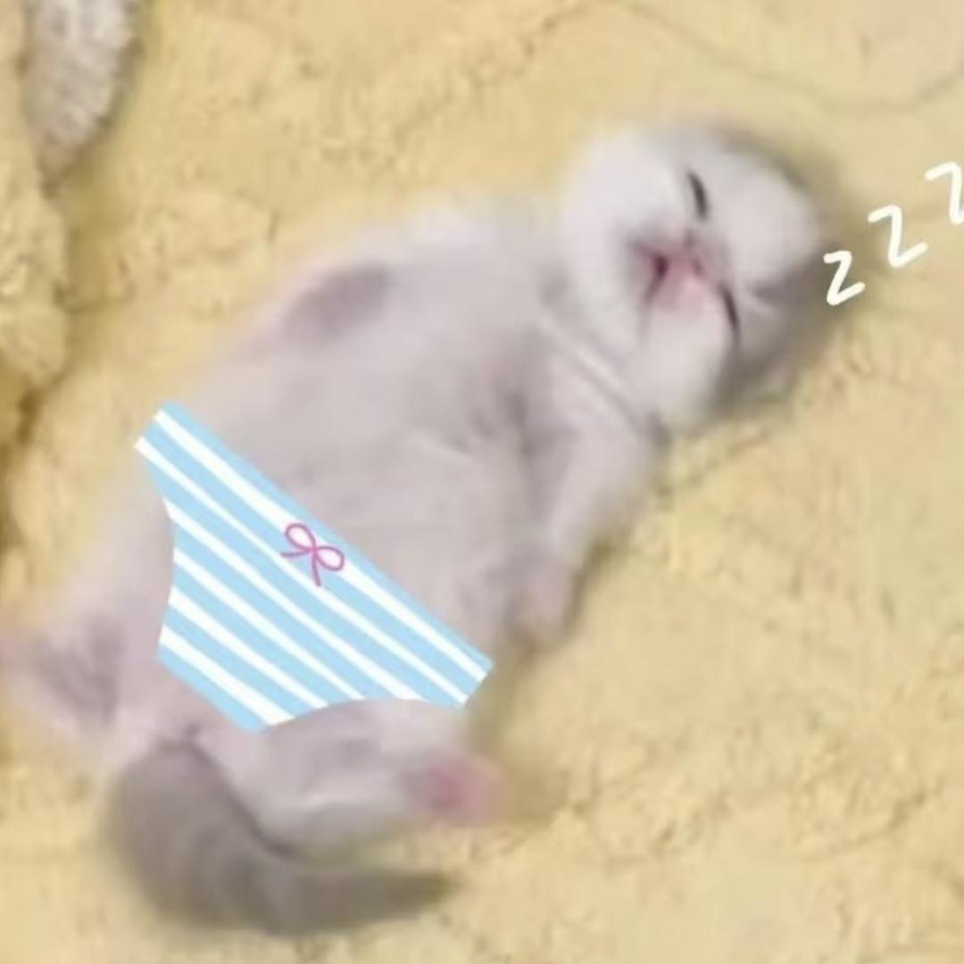 /ㅤ