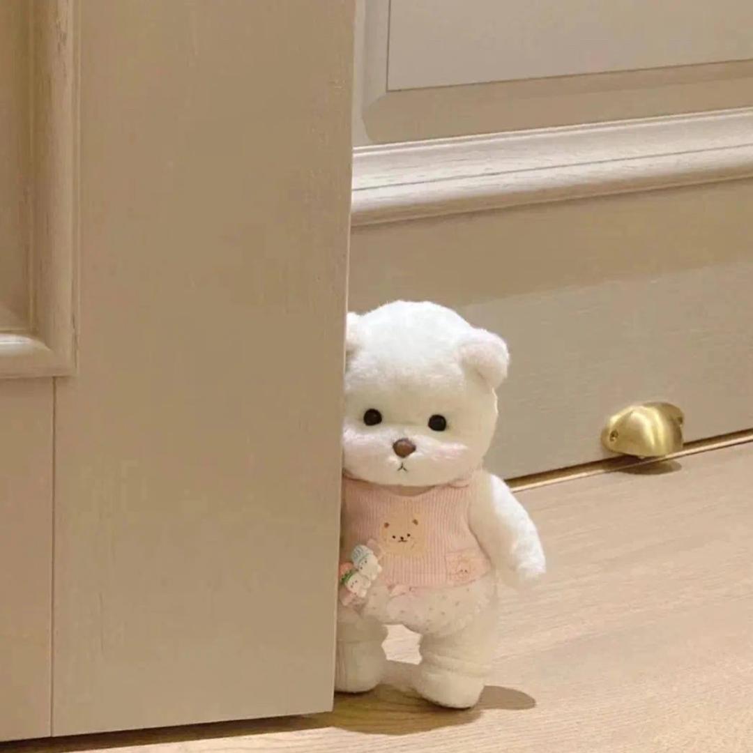番茄队长