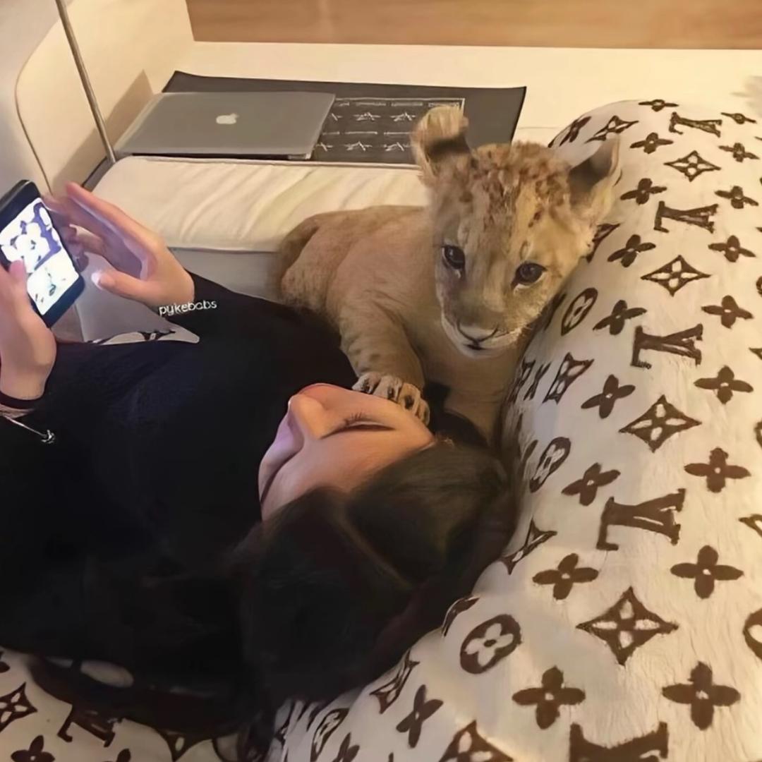 爽爽-