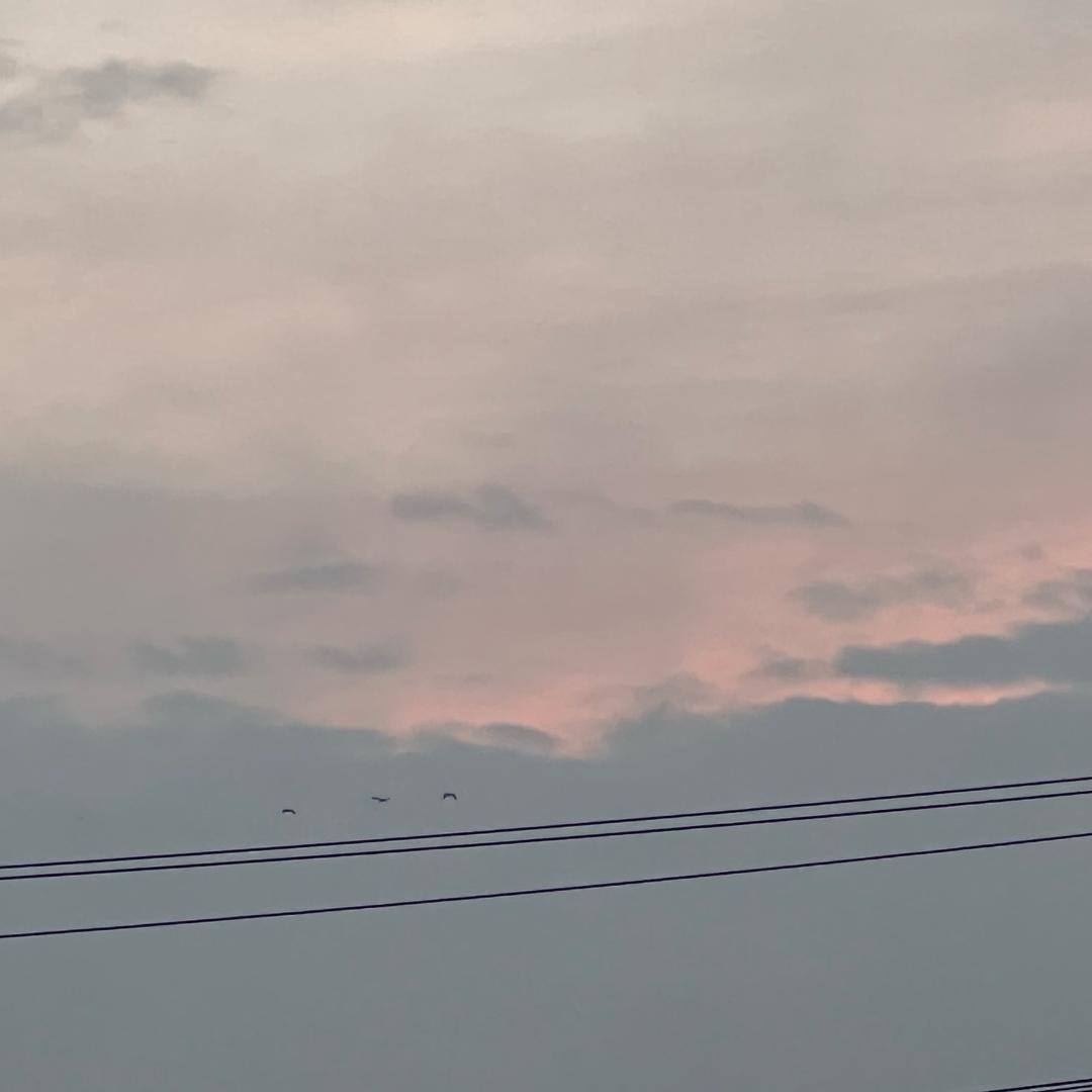 嘻嘻哈哈