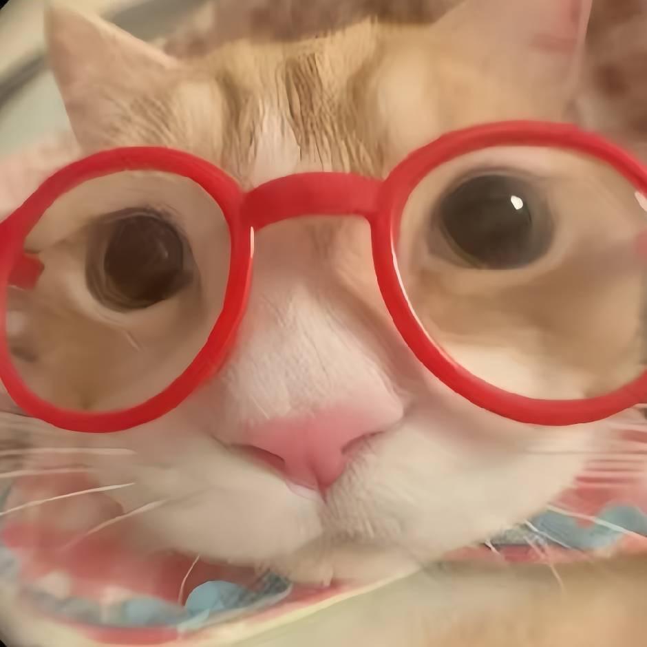 y.。