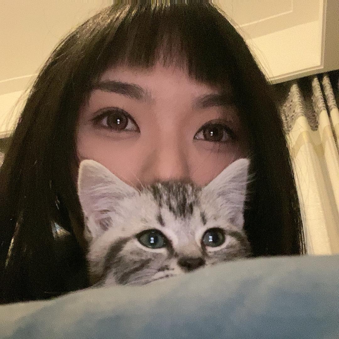 云雾