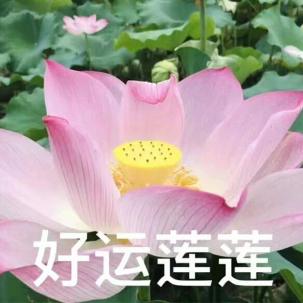 理直气壮