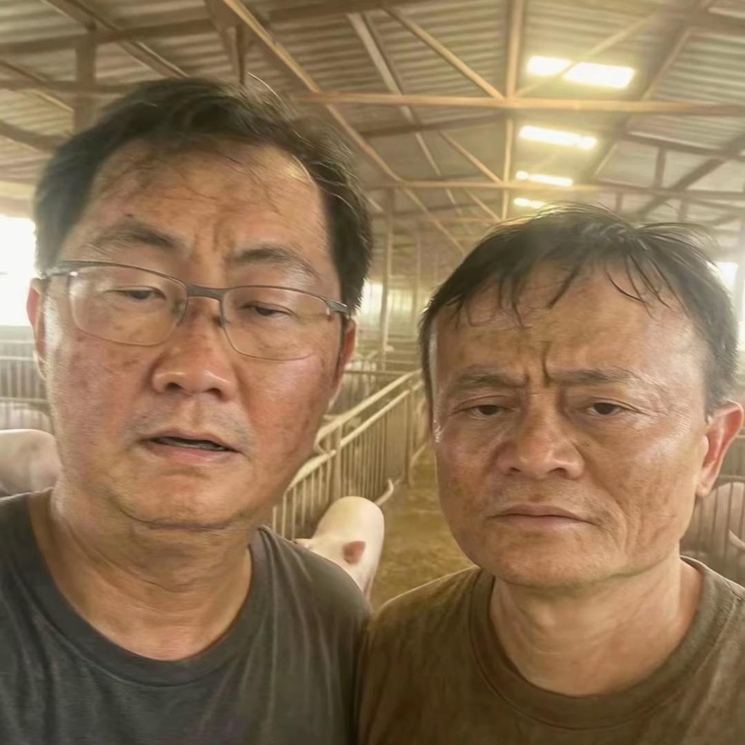 牛牛🐮🐮牛牛