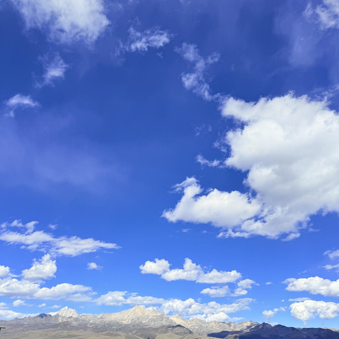 成都市三叶乐居房产经纪有限公司滨河店