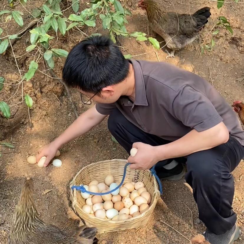 云南武定老呆土鸡蛋