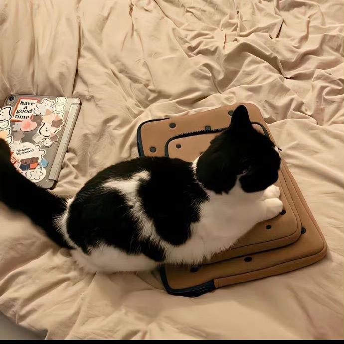 凌晨两点睡不着