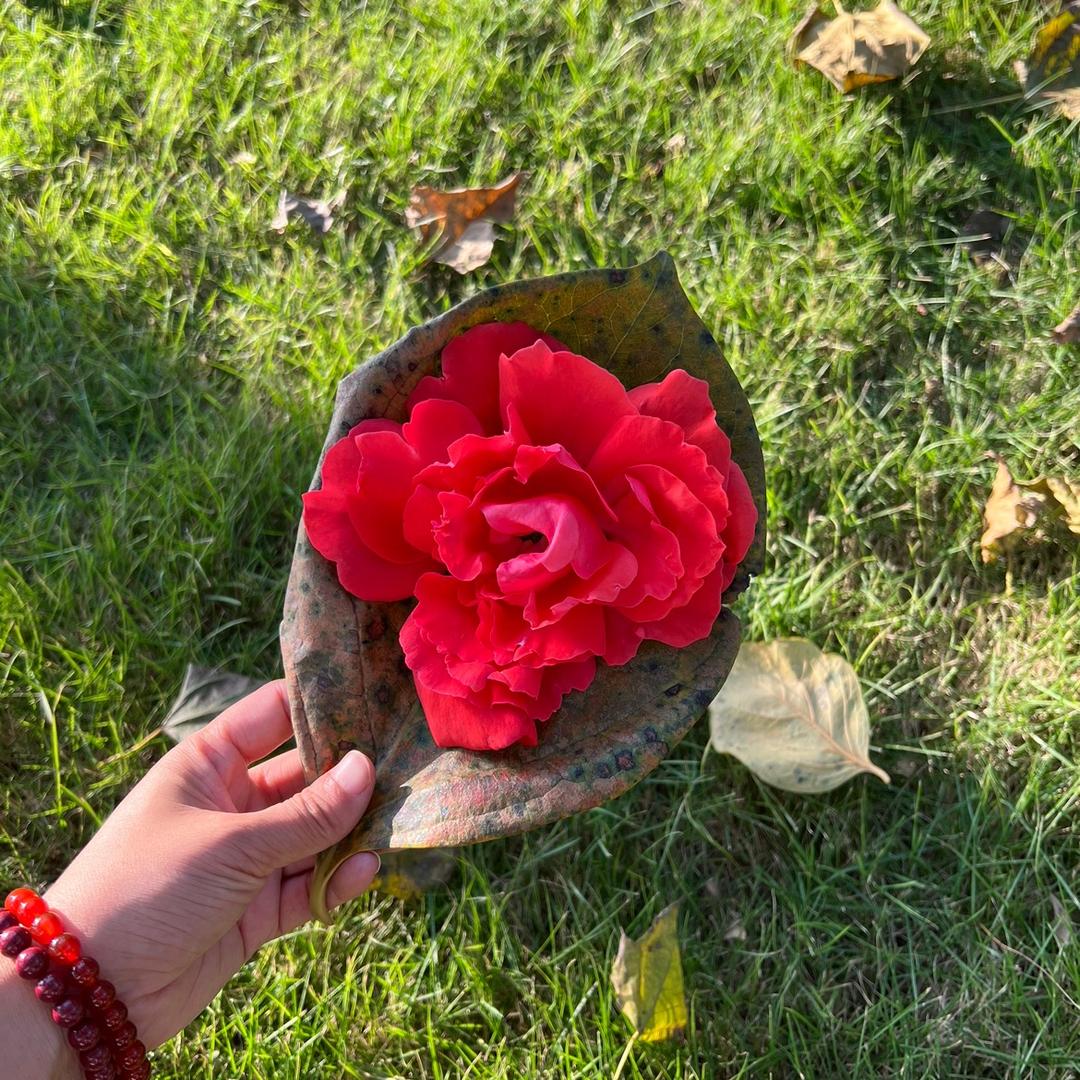 小蛋妈说养生日用品店