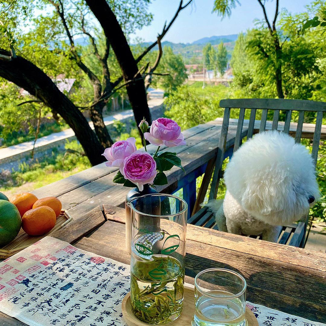 彝良朝阳百货店