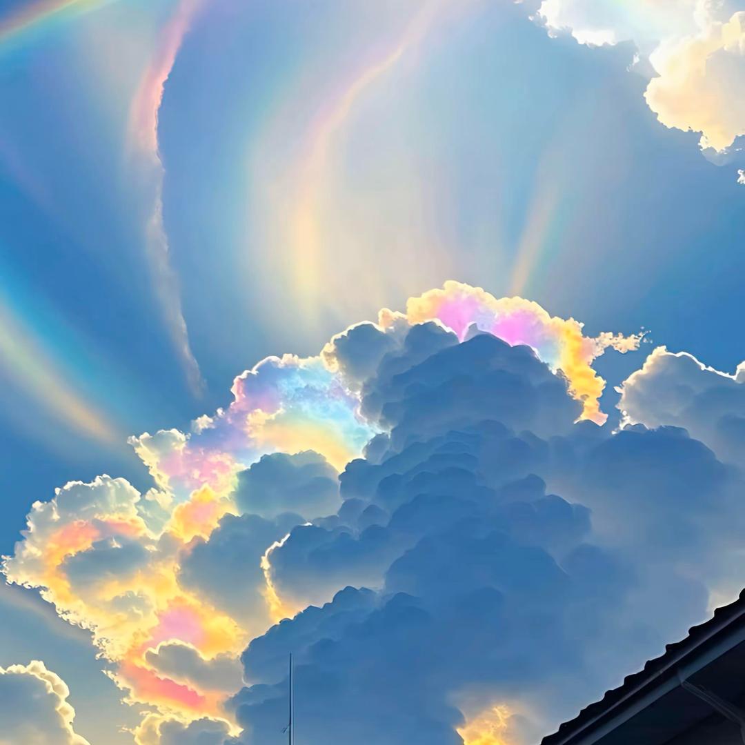 @空心菜