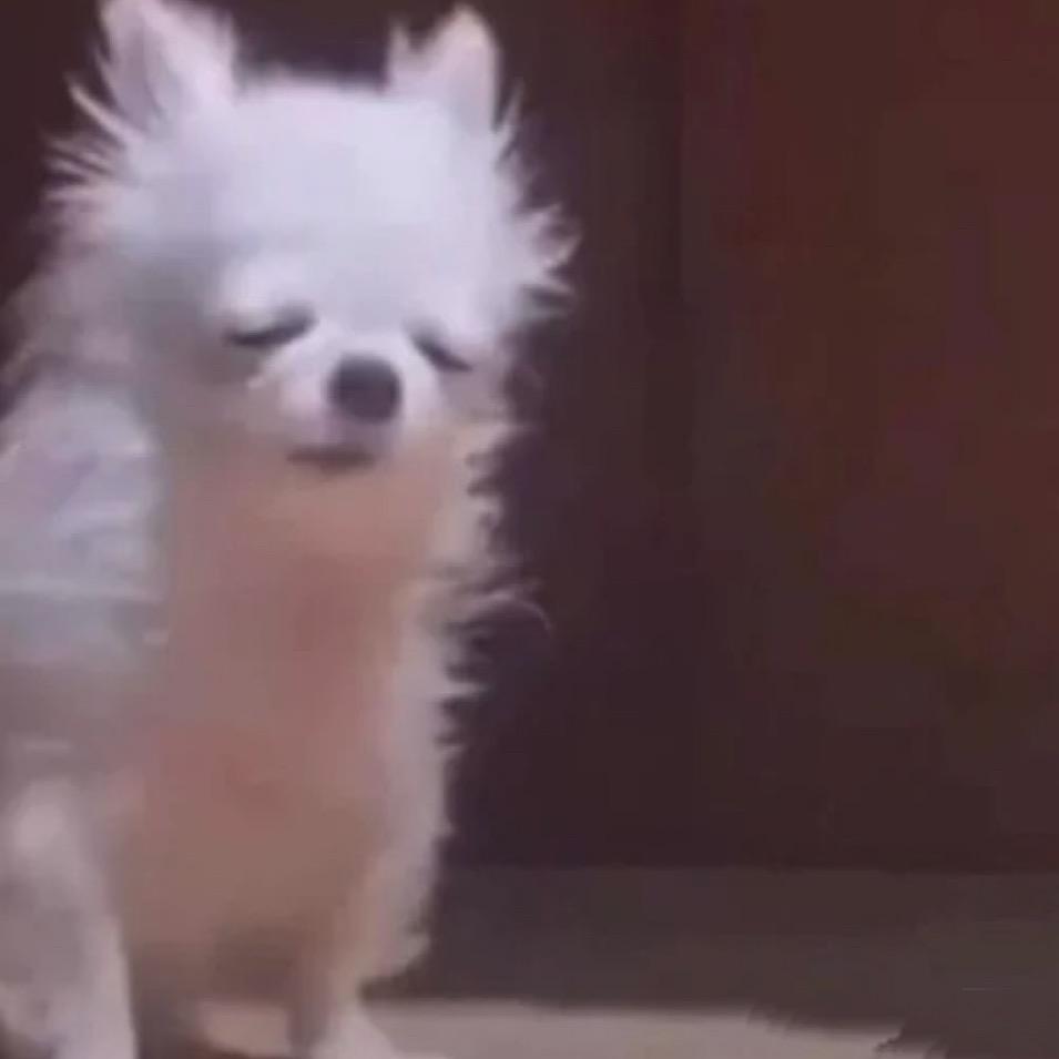 胡椒小王