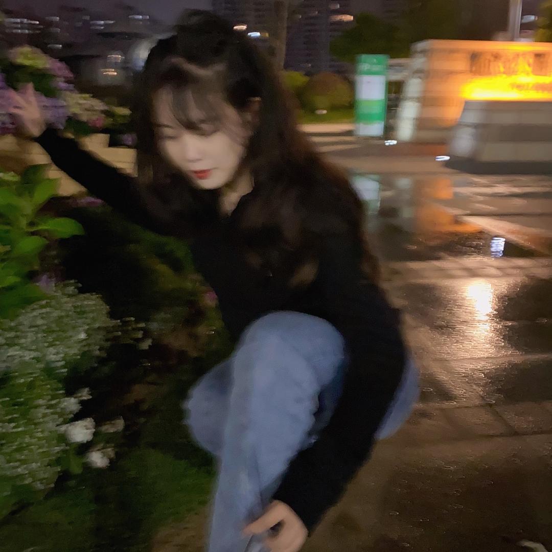 仲夏夜的猫