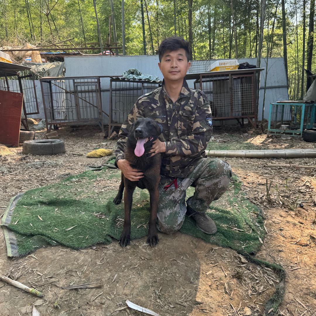 @分宜鲜老板不养狗（黄鑫回收）