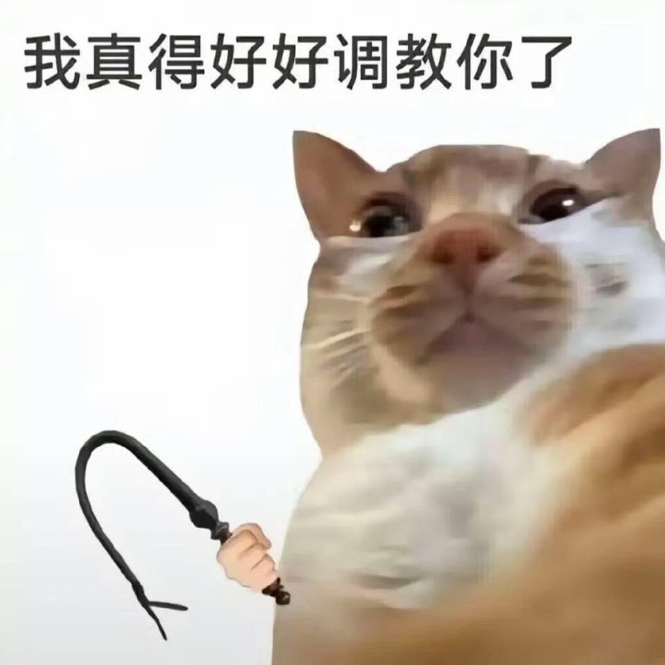 呼噜小盐