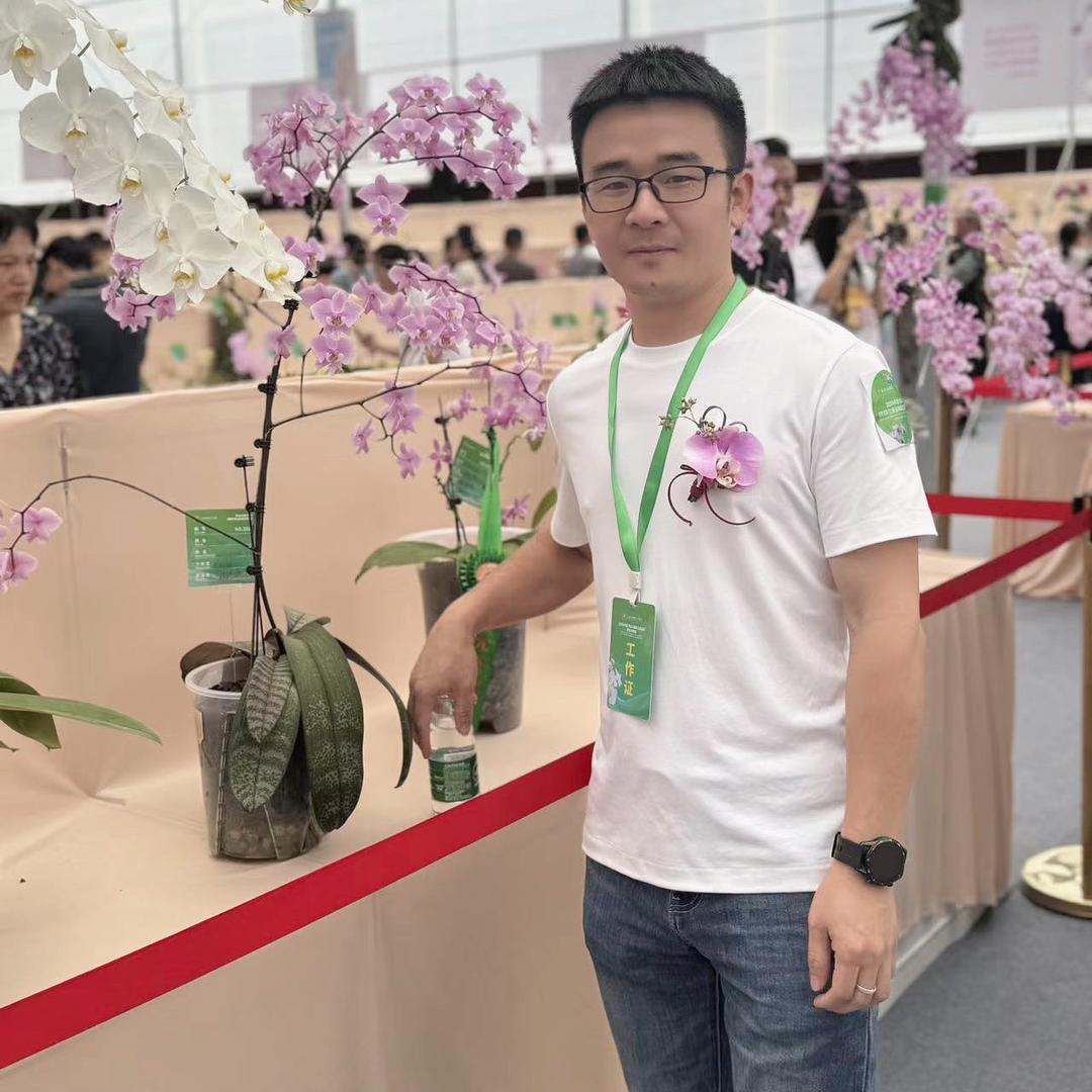 一直美和筑花坊蝴蝶兰的老邓