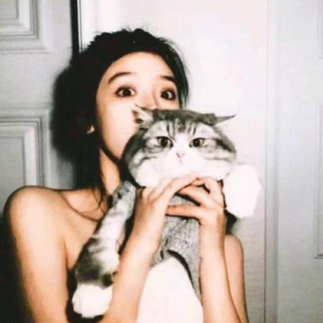 慧hui.