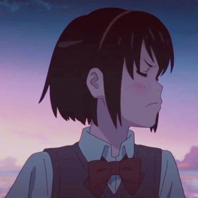 柴柴手养鹦鹉