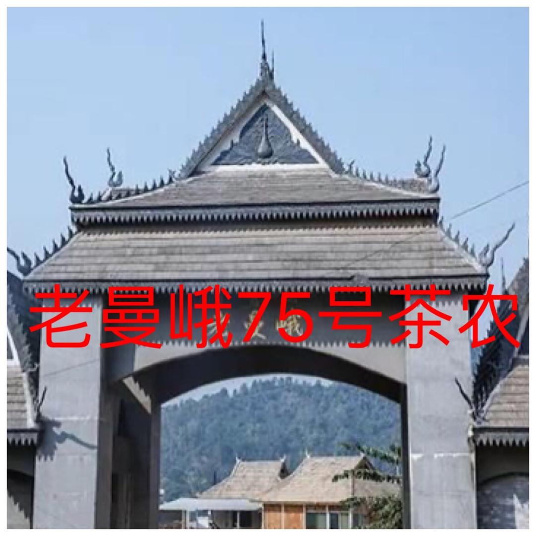 老曼峨75号村书支之家1号店