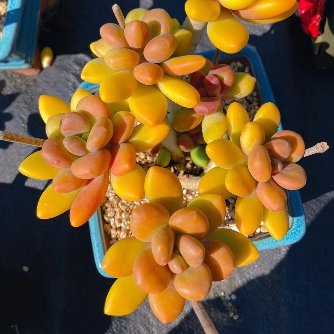 面向大海，不问春暖花开