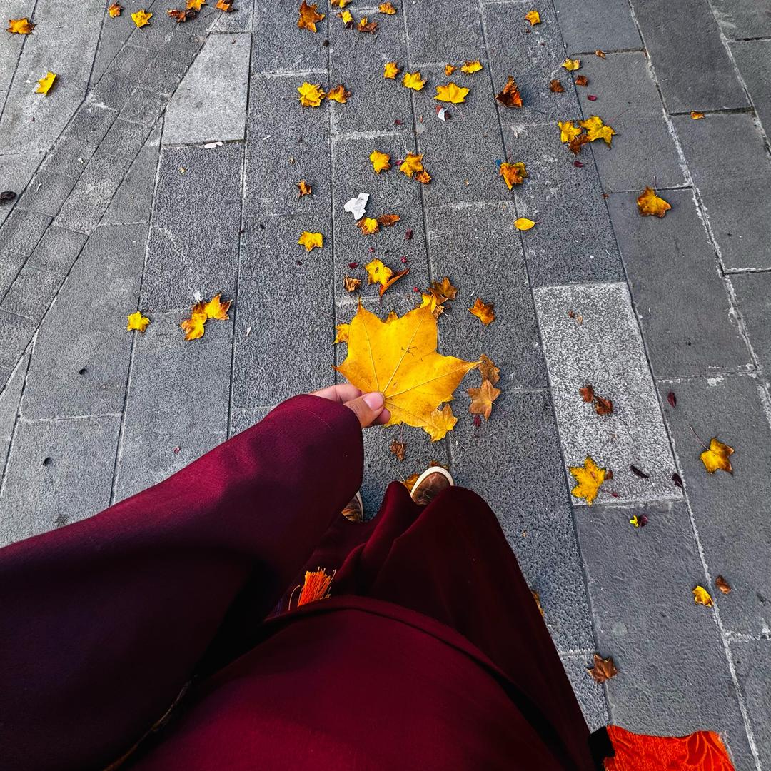 学者࿐ Zhuza 💫