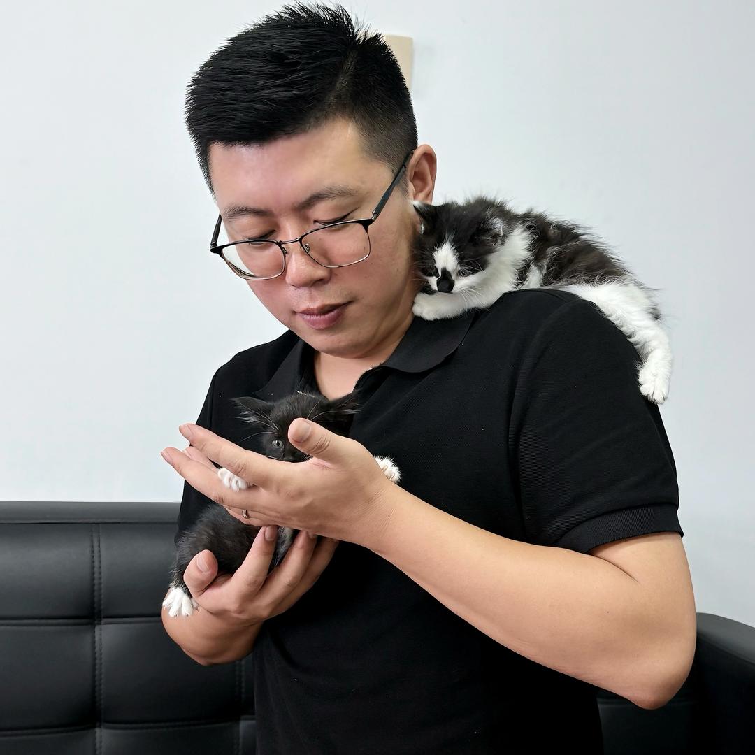 牛马邹老板