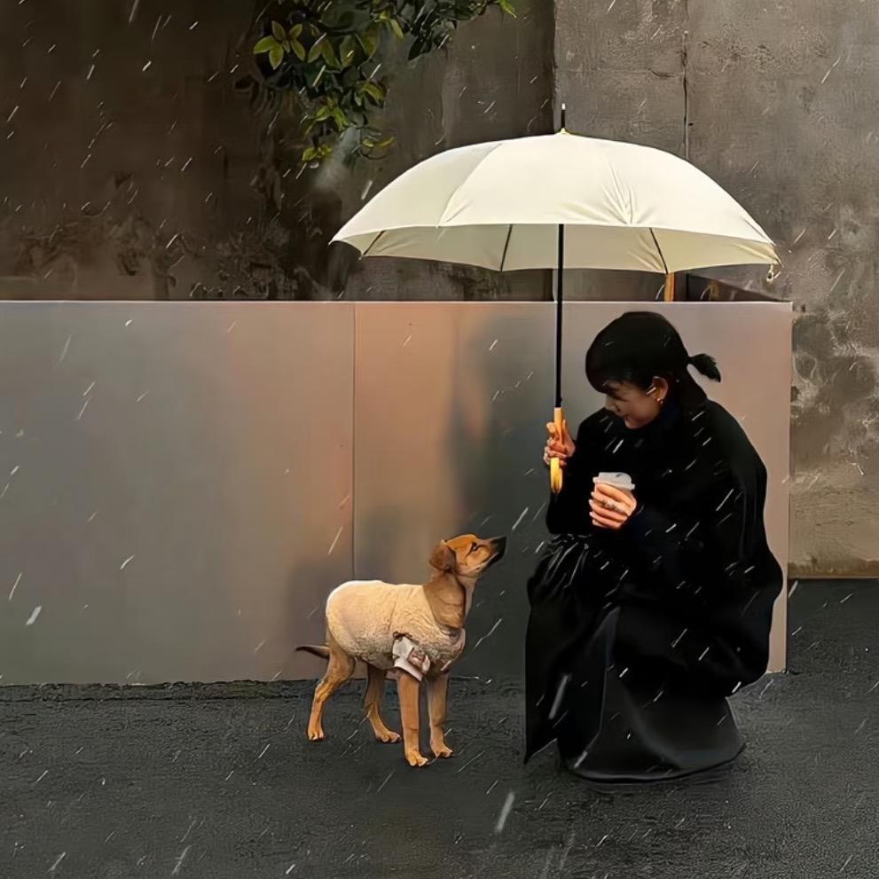 安咏🌧️