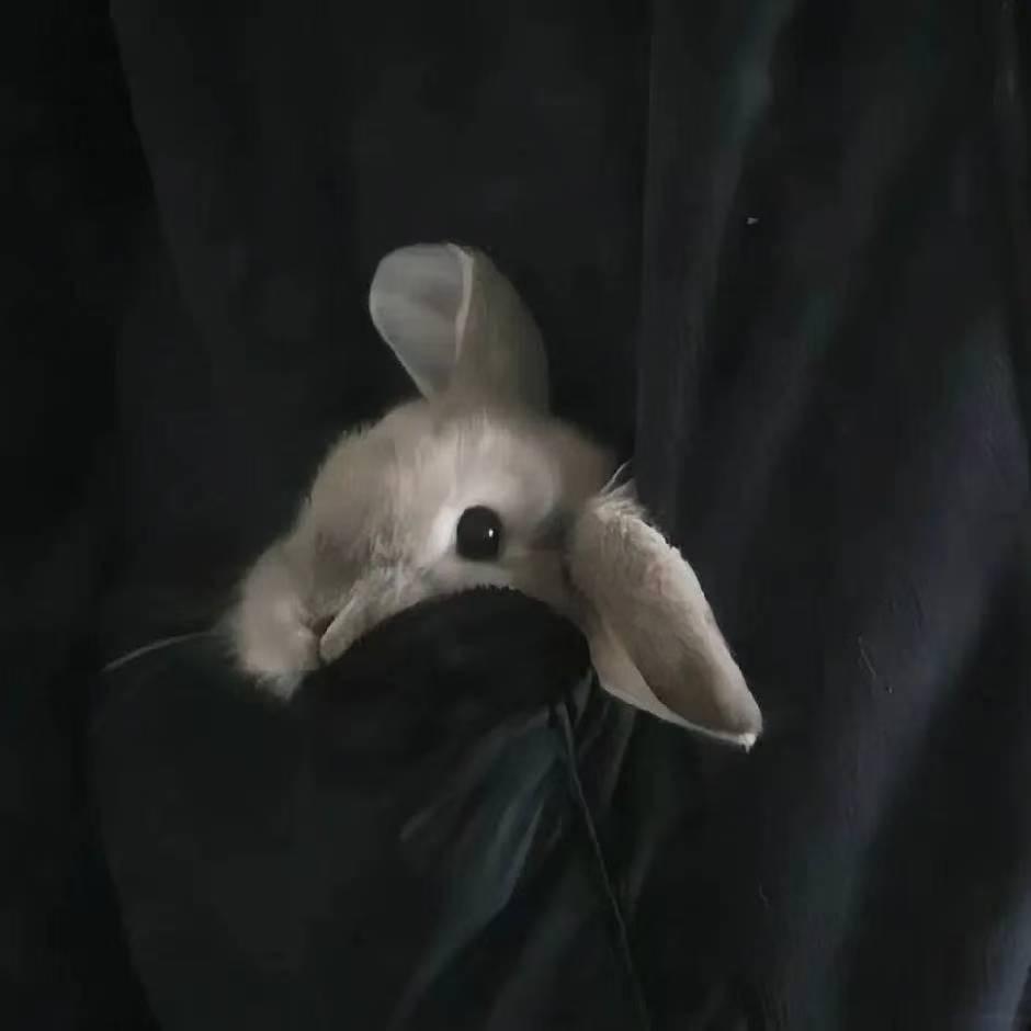 盈盈🐰