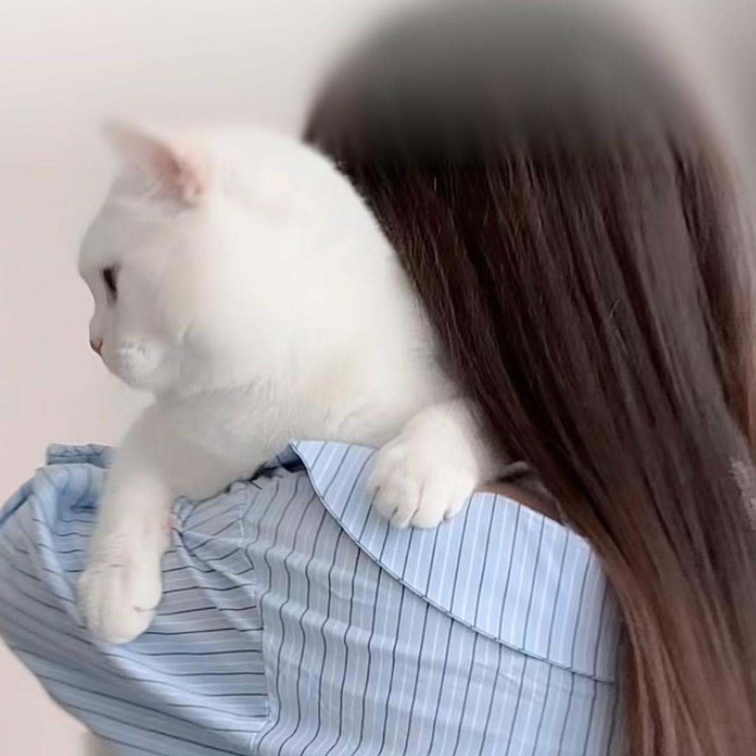 上上芊ཽ