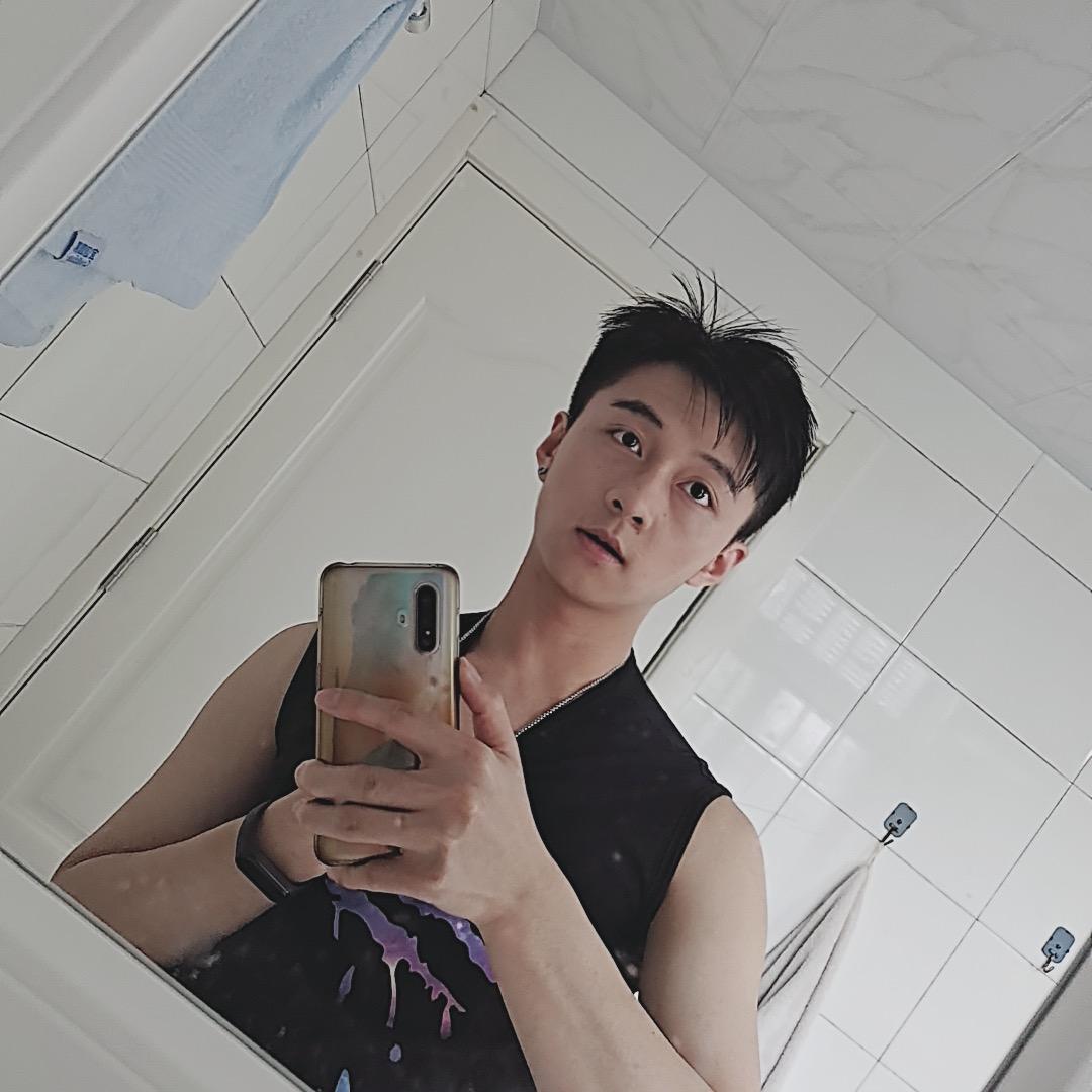松树下的小狮子
