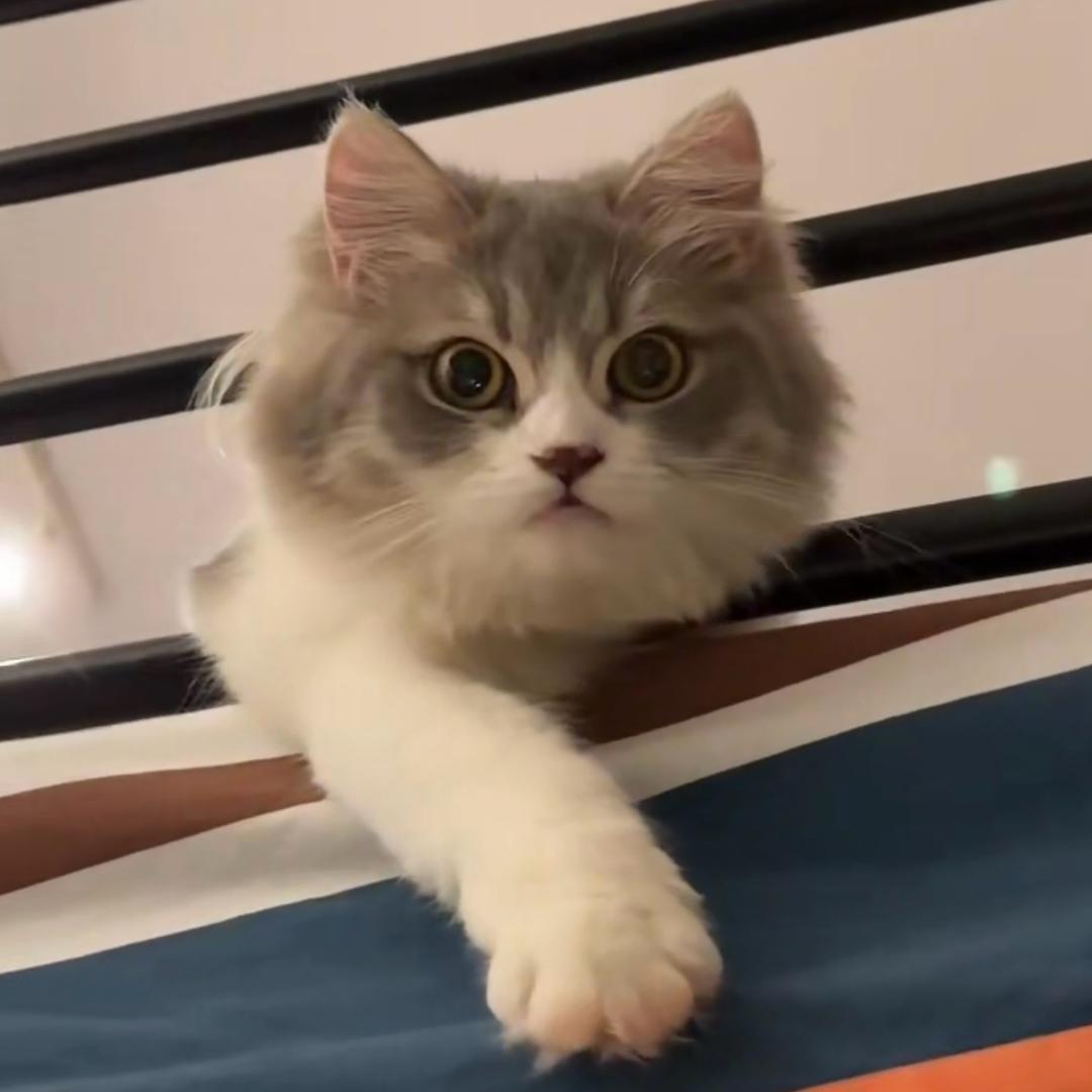 我的名字叫Money吖