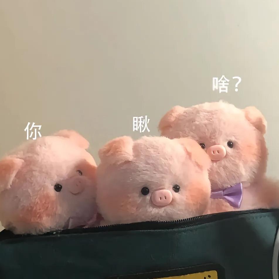 宝儿乖乖