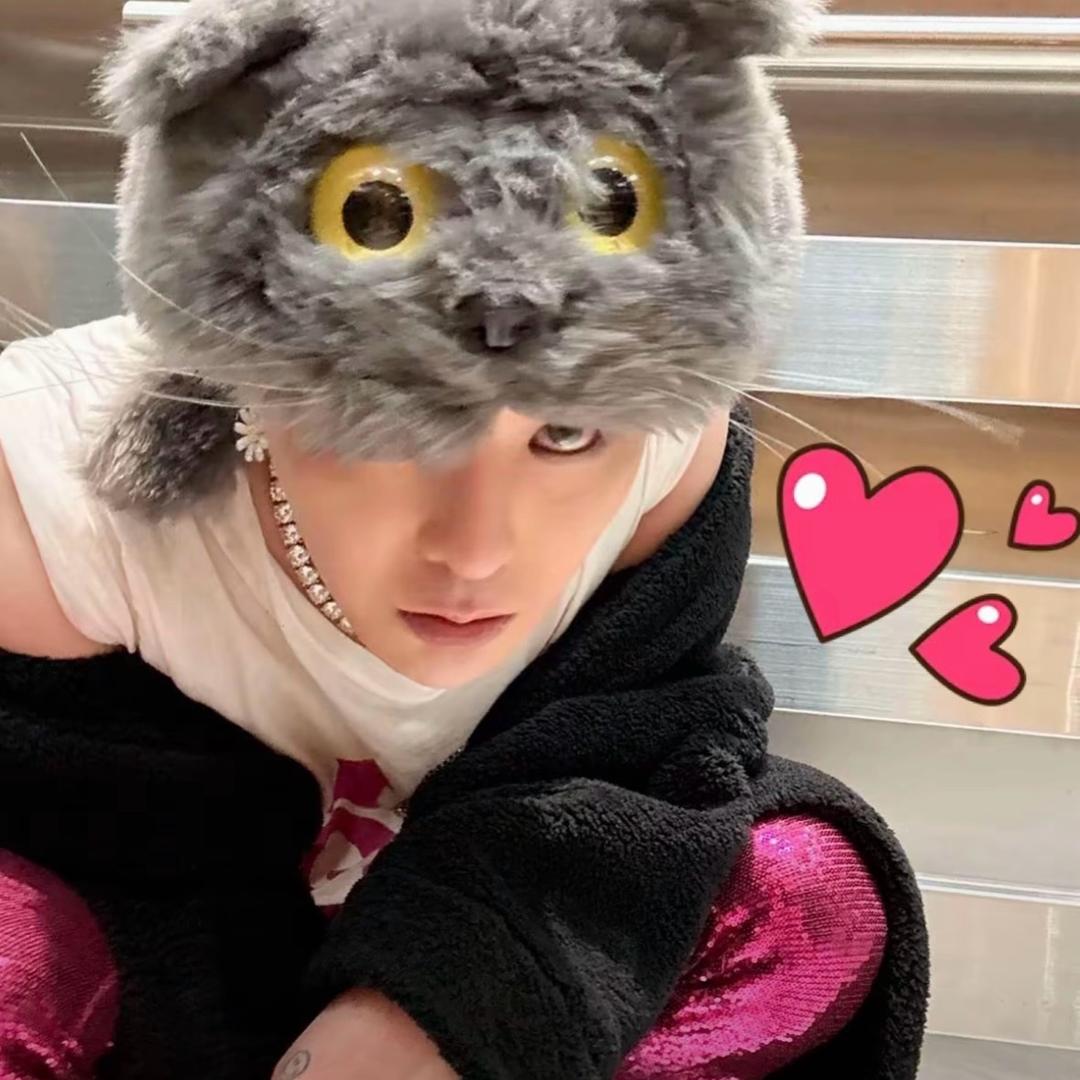 小雏菊💙