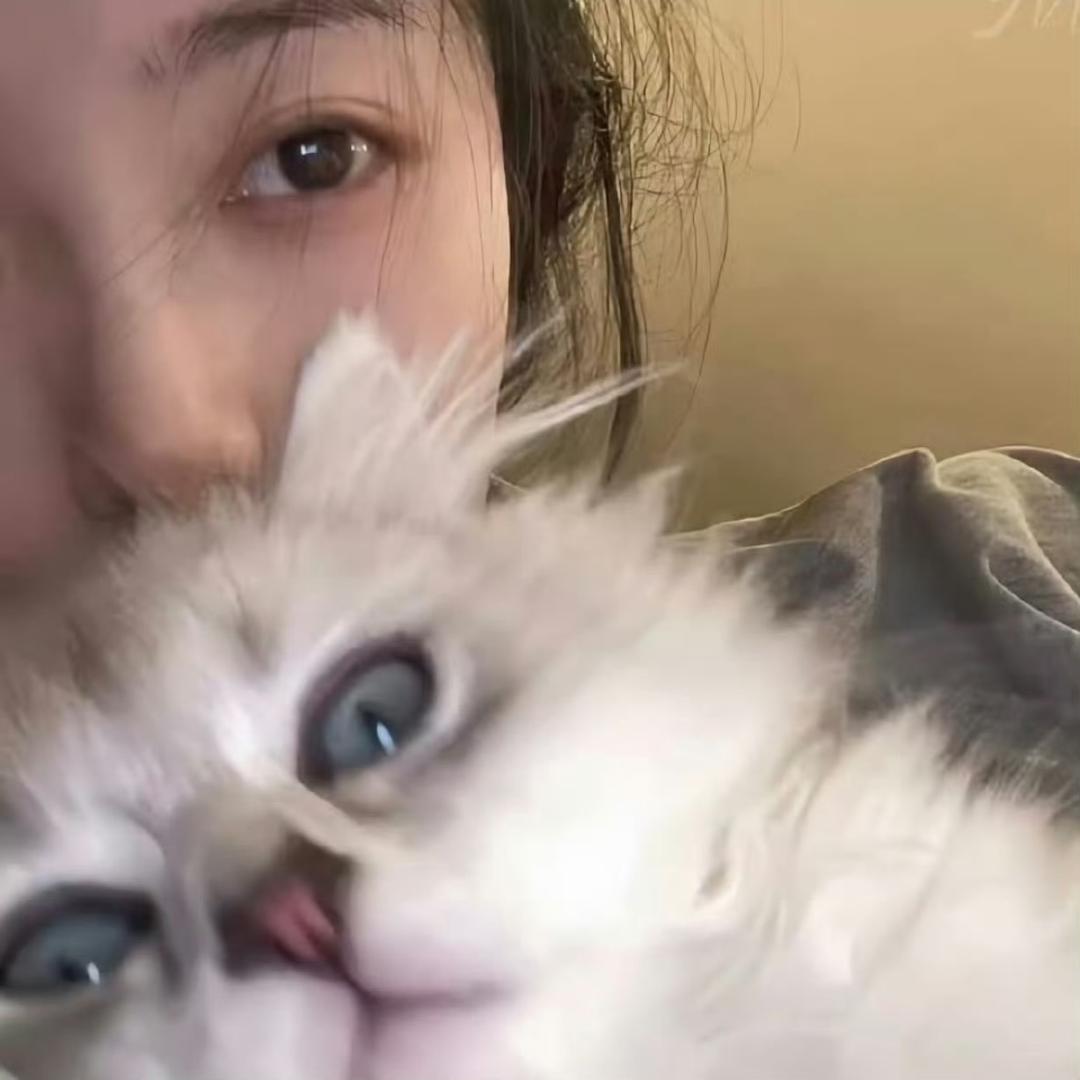 香甜小卷（坚强笨女人版）